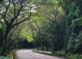 206a9a33-2b3a-400d-9be0-c51f6740fffd