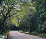 206a9a33-2b3a-400d-9be0-c51f6740fffd