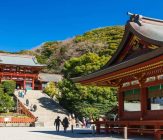 Sanctuaire-tsurugaoka-hachimangu